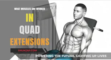 Quad Extensions: Targeted Muscles and Benefits for Stronger Legs
