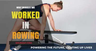 Rowing's Full-Body Workout: Muscles Engaged in Every Stroke