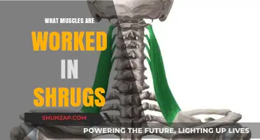 Shrugs: Targeting Upper Traps and Neck Muscles for Strength