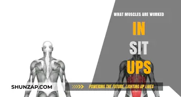 Sit-Ups: Unlocking Core Strength and Targeted Muscle Engagement