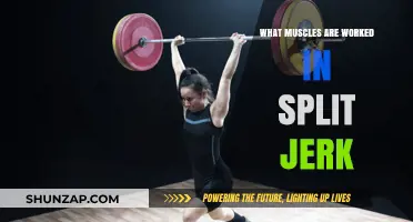 Muscles Engaged in Split Jerk: A Comprehensive Breakdown