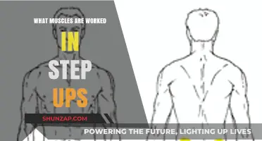 Step Ups: Targeted Muscles and Full-Body Benefits Explained