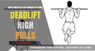 Sumo Deadlift High Pull Muscles: Targeted Groups and Benefits
