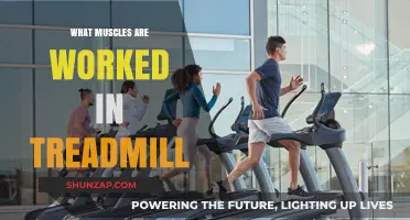 Treadmill Workout Muscles: Unlocking Full-Body Benefits and Targeted Gains