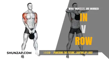 V-Row Muscles: Targeted Back, Shoulder, and Core Engagement Explained