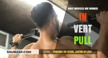 Vert Pull Muscles: Targeted Strength Training for Explosive Power
