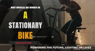 Stationary Bike Workout: Muscles Targeted and Strengthened Explained