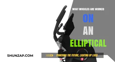 Elliptical Workout Benefits: Muscles Targeted and Toned Explained