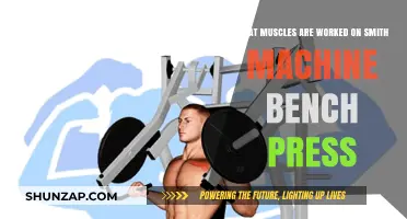 Smith Machine Bench Press: Targeted Muscles and Benefits Explained