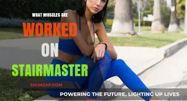 Stairmaster Workout Benefits: Targeted Muscles and Full-Body Engagement Explained