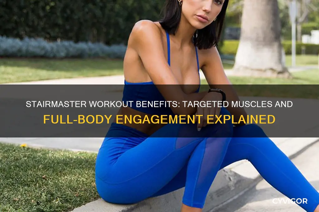 what muscles are worked on stairmaster