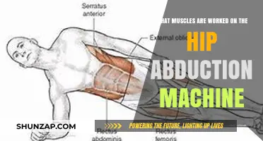 Hip Abduction Machine: Targeted Muscles and Benefits Explained