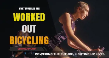 Pedal Power: Muscles Engaged and Strengthened Through Bicycling