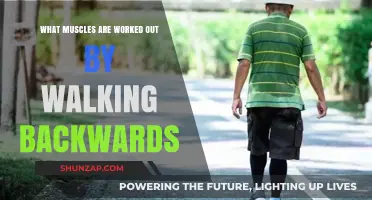 Walking Backwards: Unlocking Unique Muscle Engagement and Benefits