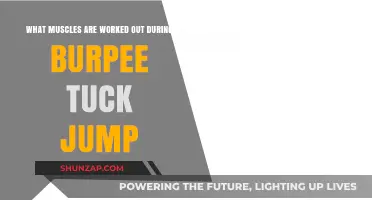 Burpee Tuck Jump: Muscles Targeted in This Explosive Full-Body Exercise