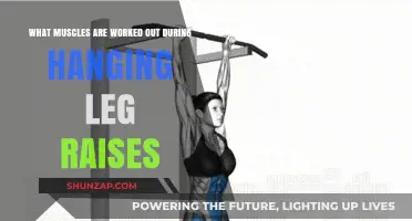 Hanging Leg Raises: Core Muscles Engaged and Strengthened Effectively