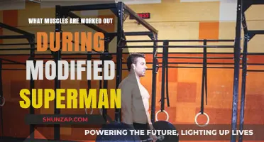 Modified Superman Exercise: Targeted Muscles and Core Benefits Explained