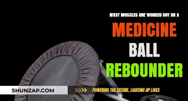 Medicine Ball Rebounder Workout: Targeted Muscles and Benefits Explained