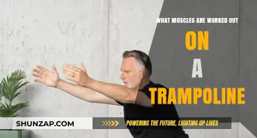 Trampoline Workouts: Muscles Targeted and Benefits Explained