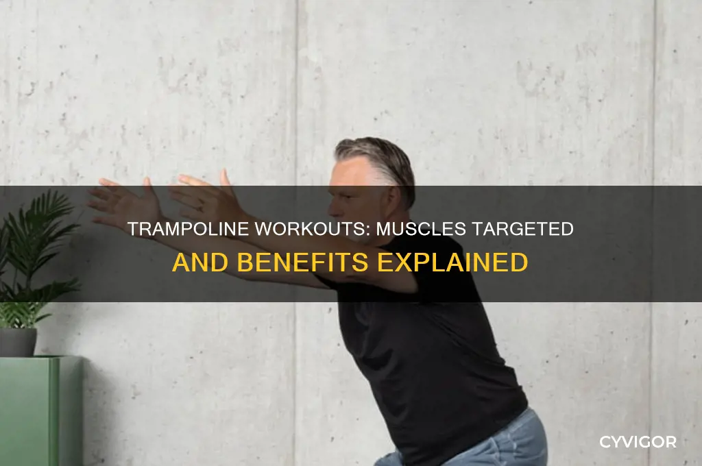 what muscles are worked out on a trampoline