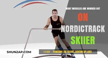 NordicTrack Skier Workout: Targeted Muscles and Full-Body Benefits
