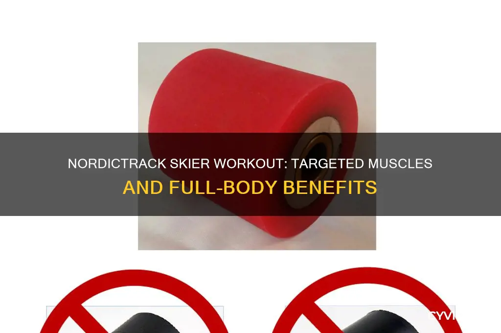 what muscles are worked out on nordictrack skiier