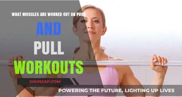 Push and Pull Workouts: Targeted Muscles for Strength and Balance