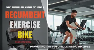 Recumbent Bike Workout: Targeted Muscles and Fitness Benefits Revealed