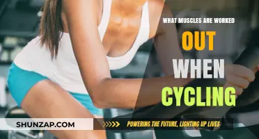 Cycling's Full-Body Benefits: Muscles Engaged While Pedaling