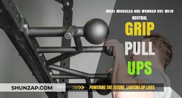 Neutral Grip Pull-Ups: Targeted Muscles and Benefits Explained