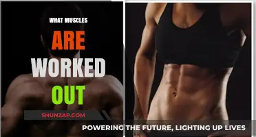 Muscles Targeted: Unlocking the Benefits of Your Workout Routine