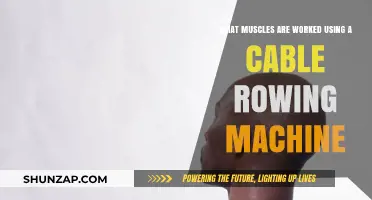 Cable Rowing Machine Muscles: Targeted Back, Arms, and Core Workout