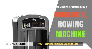 Horizontal Rowing Machine: Muscles Targeted and Benefits Explained