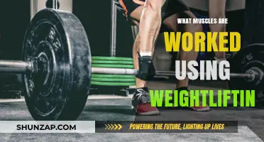 Weightlifting Workout: Targeted Muscles for Strength and Power Gains