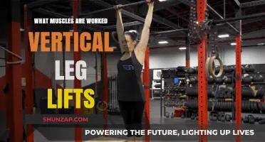 Vertical Leg Lifts: Targeted Muscles and Core Strengthening Benefits