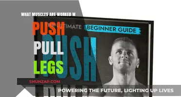 Push Pull Legs: Targeted Muscle Groups for Optimal Strength Training