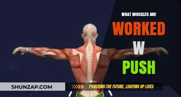 Push-Ups: Unlocking the Muscles Engaged in This Powerful Exercise