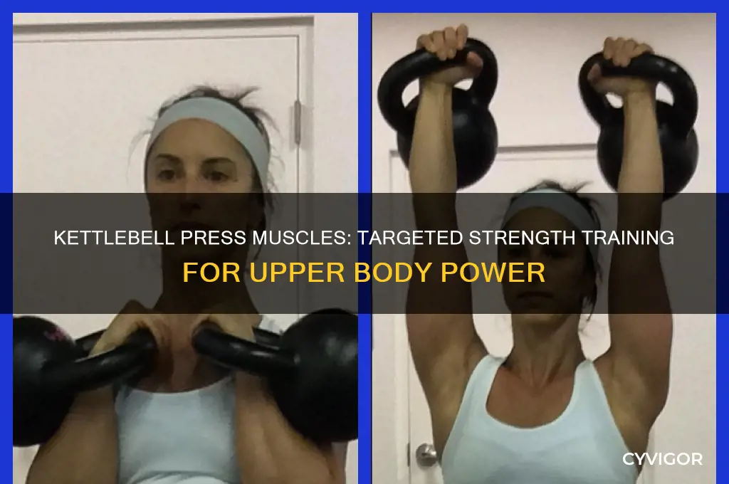 what muscles are worked when doing kettlebell press