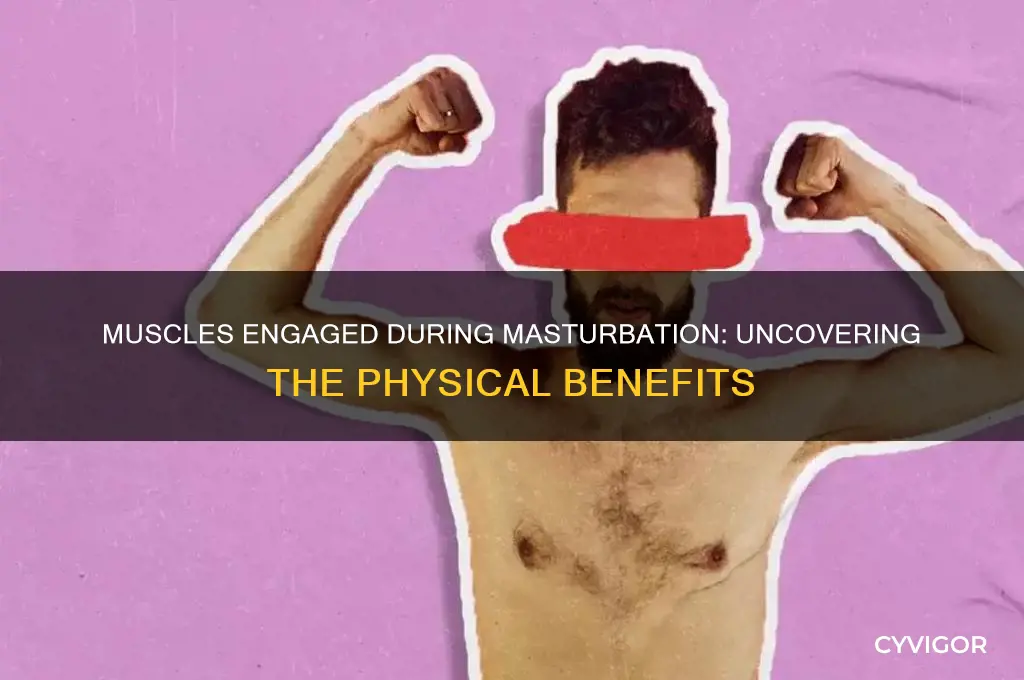 what muscles are worked when jerking off