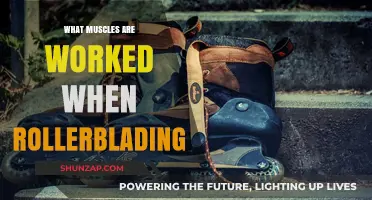 Rollerblading Workout: Muscles Engaged While Inline Skating Explained