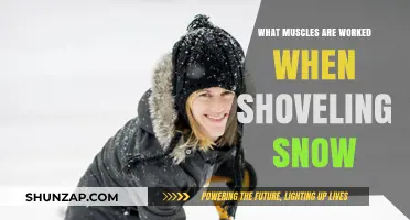 Snow Shoveling Workout: Muscles Engaged in Winter Snow Removal