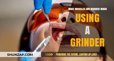 Muscles Engaged: Unveiling the Physical Demands of Grinder Operation