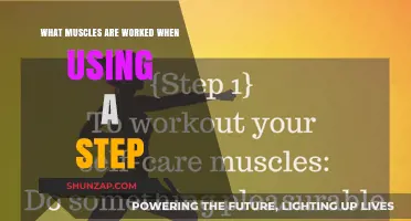 Step Up Your Fitness: Muscles Targeted with Step Workouts