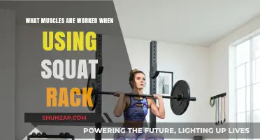 Squat Rack Muscles: Targeted Strength Training for Lower Body Power