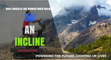 Incline Walking: Muscles Engaged and Strengthened During Uphill Strides