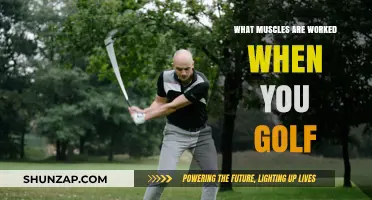 Golf's Hidden Workout: Muscles Engaged in Every Swing and Stance