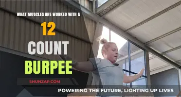 Burpee Breakdown: Muscles Engaged in a 12-Count Full-Body Exercise