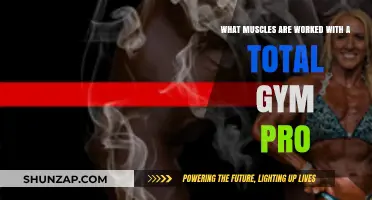 Total Gym Pro: Targeted Muscles for Full-Body Strength Training