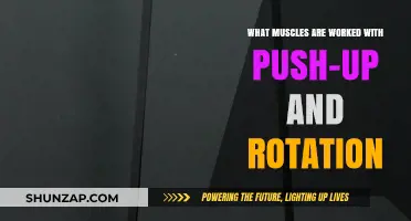Push-Up and Rotation: Targeted Muscles for Strength and Stability