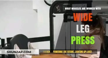 Wide Leg Press Muscles: Targeted Lower Body Workout Explained